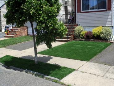 Artificial Grass Photos: Fake Pet Grass Pine Mountain Club California Back and Front Yard